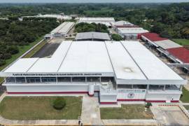 La mandataria señaló que el programa se fortalecerá con la operación de la planta de producción de moscas estériles inaugurada recientemente en Chiapas.