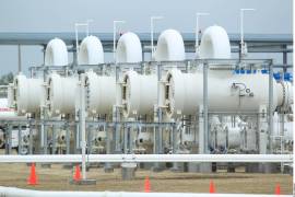 Biólogos expertos en cetáceos y biodiversidad han declarado que el proyecto es 100 por ciento inviable en Puerto Libertad debido a sus altísimos impactos.