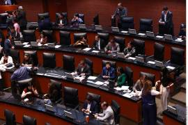 Cada senador tiene un ingreso anual, por el concepto de dieta, de 2 millones 822 mil 953 pesos brutos.