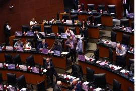 La Oposición cuestionó la propuesta que sanciona, además de prisión, con multas de hasta un millón de pesos a quienes utilicen la identidad oficial del Gobierno para engañar a una o más personas.