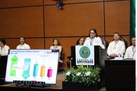 La titular de la CFE, Emilia Calleja, rechazó ante diputados, anomalías en la licitación de carbón.