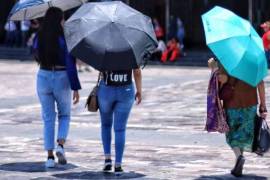 Un trabajador artesanal de ladrillo, originario de Sonora, falleció por golpe de calor