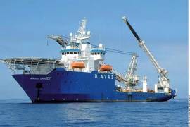 Un día después de empezar a observarse manchas, llegó al sitio el buque Árbol Grande, que repara ductos.