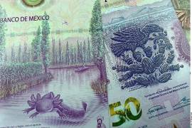 Se frenan inversión por T-MEC, pero el crédito al consumo (10-12%) mantiene a flote a la banca; pese a su solidez, prevén deterioro por volatilidad económica.