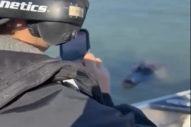 El alcalde de Eagle Pass, Aaron Valdez, acompañó a agentes de la Patrulla Fronteriza durante un recorrido por el Río Bravo y reportó el encuentro con un reptil al que llamó “Gary the Gator”.