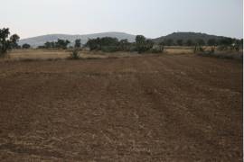 Productores del norte del País padecen la falta de lluvias y presas casi vacías.