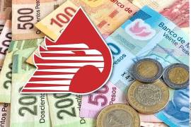 Los montos más altos se concentran en empresas del sector energético, particularmente en jubilados de Pemex y del desaparecido sistema eléctrico del centro del país.