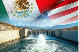 Ante la problemática, el senador planteó incluir el tema en la revisión del tratado comercial.