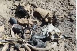 El caso detonó una movilización masiva e inmediata de las autoridades.