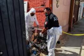 La Fiscalía General del Estado deja entrever que más personas estarían involucradas en el mal estado en que se encontraban 53 canes en un refugio de Castaños.