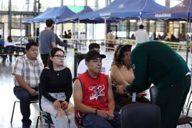 La Secretaría de Salud informó que las 32 entidades han notificado casos, distribuidos en 443 municipios del país.