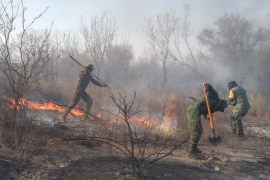 Los incendios se sitúan en las áreas conocidas como Huachichil y Coyotera 2, en Arteaga; en San Lorenzo y en Llano Largo, en Saltillo; y en Corrales, en Ciudad Acuña