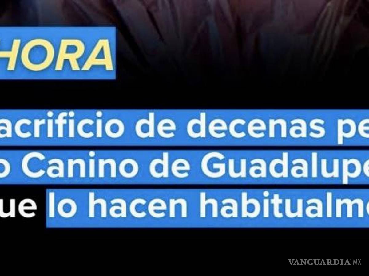 $!El libelo difundido en redes sociales.