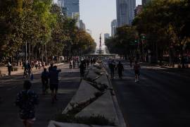 Plantean desarrollo económico eficaz, pero que compatible con un medio ambiente sostenible.