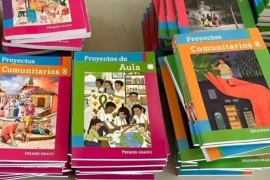 “Los (libros de texto) se deben ajustar a los programas de estudio y no a la inversa”, señaló luego de conceder un amparo a la Unión Nacional de Padres de Familia (UNPF)