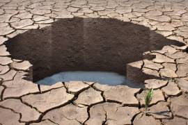 En Coahuila más de la mitad del territorio padece algún tipo de sequía.