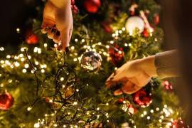 La medida busca evitar que los pinos sean abandonados en calles, arroyos o ecosistemas.