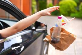 Existen alrededor de 30 procedimientos administrativos abiertos por inspecciones realizadas el año anterior