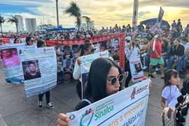 La organización también acusó que 35 personas buscadoras han sido asesinadas y 8 están desaparecidas al menos desde 2010.
