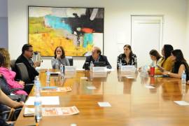 Integrantes de la Comisión de Salud revisan indicadores estatales de depresión y suicidio.