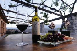 La OCV de Saltillo anunció la renovación de la página web de la ruta “Vinos y Dinos” para atraer a más visitantes con información actualizada e imágenes de calidad.