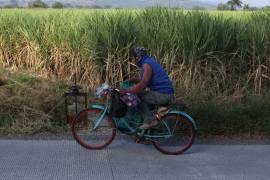 Señalan que la medida forma parte de una estrategia de modernización del campo cañero instruida por la Presidenta.