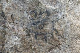 Descubren pintura rupestre cercana a Machu Picchu