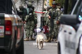 Se consideraron como indicios de delincuencia organizada elementos explícitamente citados en los textos de la FGE.