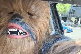 Chewbacca parodia a 'Mamá Chewbacca'