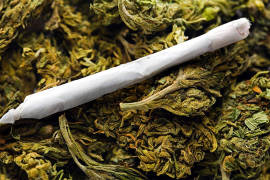 Presenta PRD reforma para uso medicinal de la marihuana