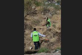 Trabajadores del Municipio realizaron trabajos de deshierbe en el arroyo que atraviesa la colonia La Herradura.