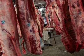 El avance brasileño en el mercado mexicano ha sido posible gracias al Paquete Contra la Inflación y la Carestía (Pacic), implementado en mayo de 2022, que suspendió de manera temporal los aranceles a la carne de ave y cerdo.