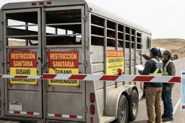 Jinetes coahuilenses enfrentan nuevas restricciones para trasladar sus caballos hacia competencias en Chihuahua y otros estados del norte.