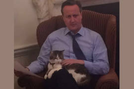 David Cameron se despide del gato Larry