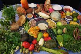 La propuesta mexicana prioriza el consumo de alimentos del campo y elimina los ultraprocesados.