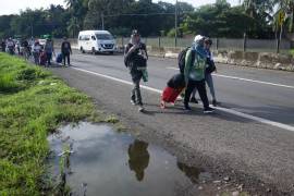 El Instituto indicó que emitió 282 mil 063 documentos autorizados o expedidos a personas extranjeras para regularizar su estancia en territorio nacional.