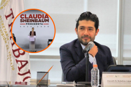 Bolaños López fue diputado por el grupo parlamentario de MORENA en la Asamblea Constituyente encargada de la elaboración de la Primera Constitución Política de la Ciudad de México