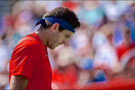 Del Potro cayó ante Dimitrov