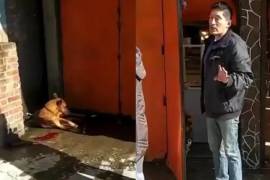 Los dueños del restaurante Cabaña El Buen Gusto pidieron a sus clientes que comprendan su lado de la historia, y aseguraron que el perro mordió al dueño