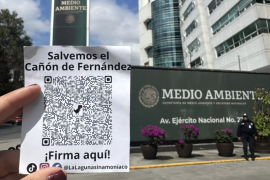 Colectivos laguneros entregaron más de 180 mil firmas a Semarnat para solicitar que se nieguen los permisos ambientales del proyecto.