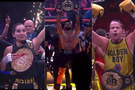 Alfredo Adame, Marcela Mistral y Alberto El Patrón fueron parte de los protagonistas de Ring Royale 2026, función celebrada en la Arena Monterrey que dejó nocauts, polémica y algunos de los momentos más comentados del espectáculo deportivo en México.