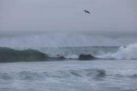 (IMAGEN ILUSTRATIVA) Tras el sismo de magnitud 6.5 en San Marcos, Guerrero, la CNPC informó que, de acuerdo con el Centro de Alerta de Tsunamis de la Semar, se prevén variaciones menores en el nivel del mar.