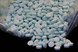 Esta preparación es parte de los esfuerzos para combatir a los cárteles de la droga | Foto: Especial