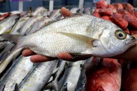 Estiman una producción de 60 toneladas de pescado en la presa La Amistad para 2020
