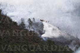 Incendio en La Pinalosa registra un 45% de control