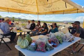 Productores y estudiantes intercambiaron conocimientos sobre huertos ecológicos en Jaboncillos Grande, municipio de Ocampo.