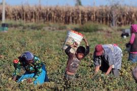 El trabajo forzado es otra de las caras de la esclavitud moderna que se vive en México y el mundo.