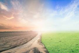 Países deben presentar compromisos climáticos mejorados en 2020: WWF