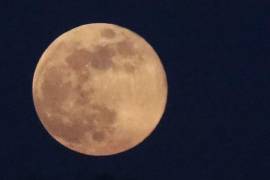 El 2026 inició, y con ello, la primera Luna llena del año llegará más brillante que nunca, deleitando las pupilas de los amantes de la astronomía.