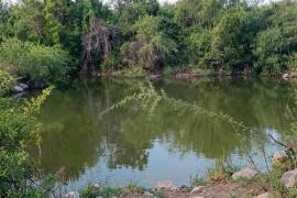 El cuerpo del adulto mayor fue localizado entre las ramas de un árbol en el lago San José, en el ejido Chamacuero de Allende.